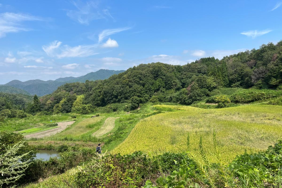 生物多様性