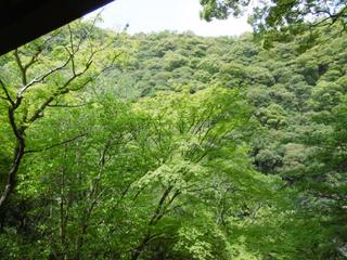 雄滝茶屋③