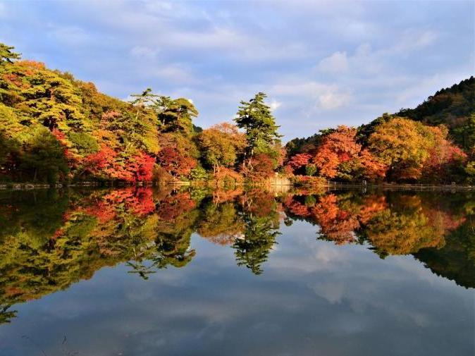 修法ヶ原池の秋