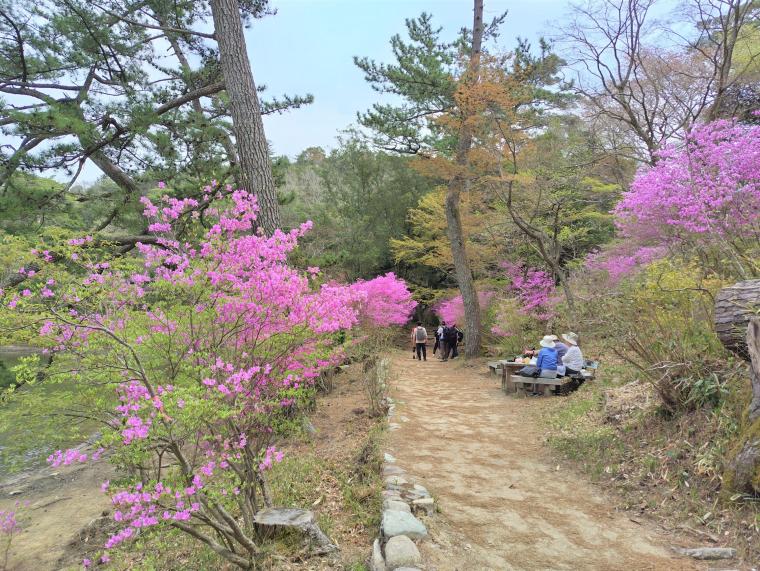 修法ヶ原池の春
