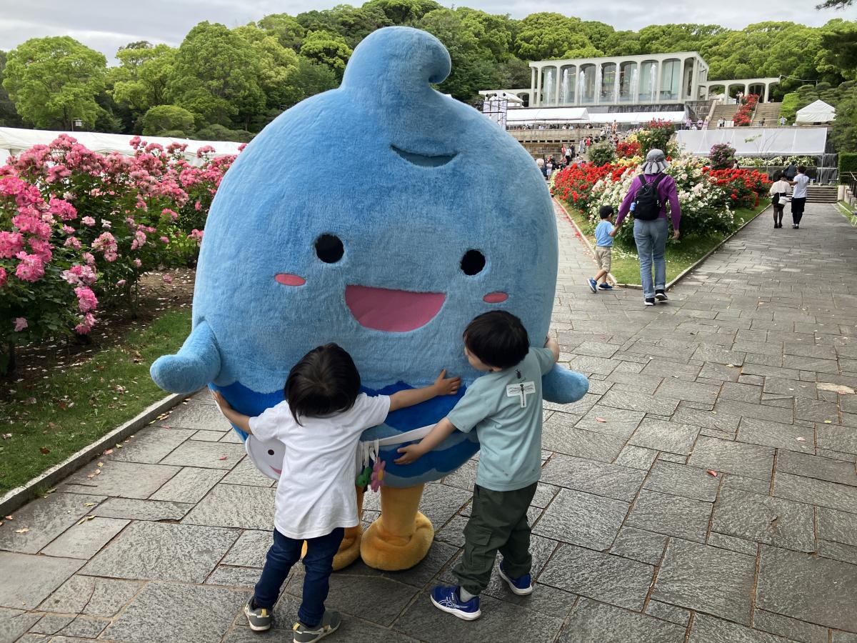 すまぼう