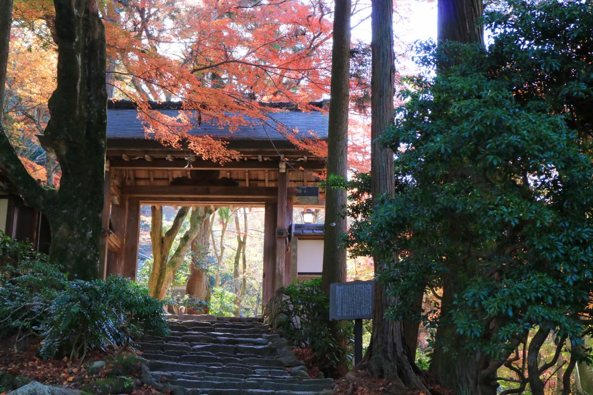 瑞宝寺