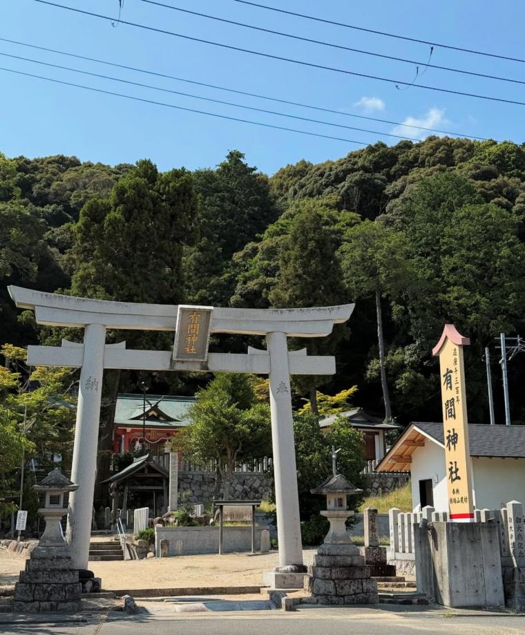 jinnjya1