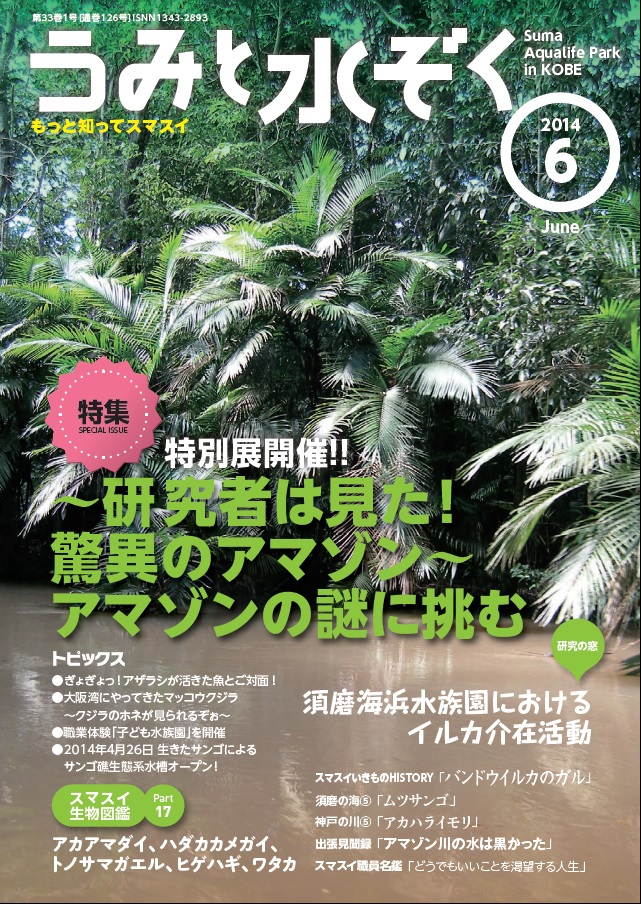 うみすい201406月号