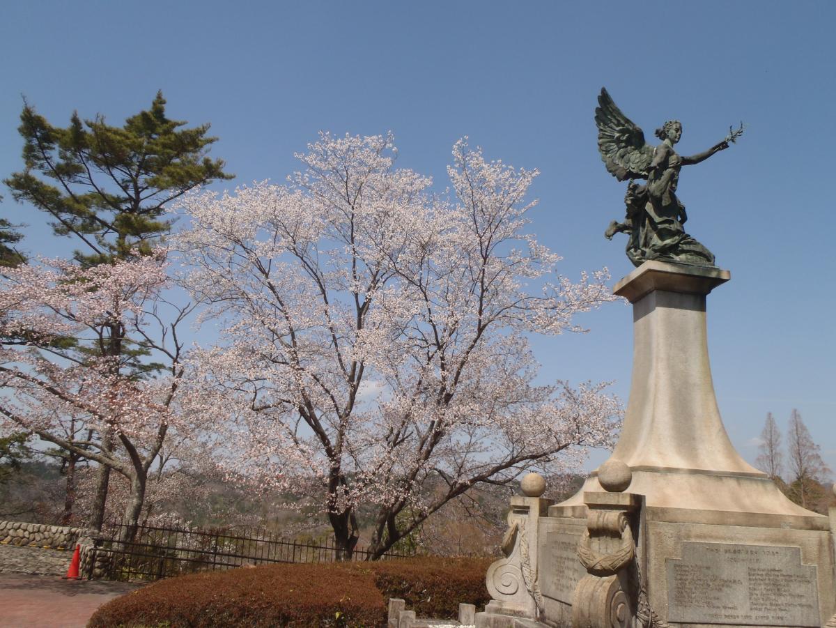 彫刻と桜
