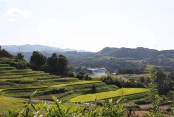 里山の風景3