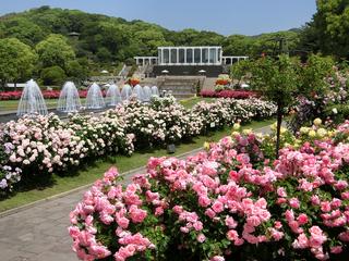 離宮公園の写真