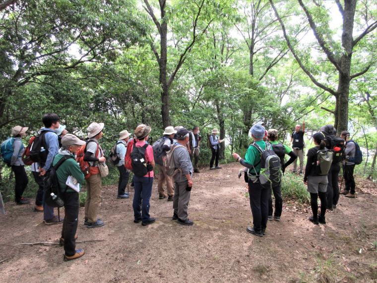 滝山城跡での学芸員による山城解説