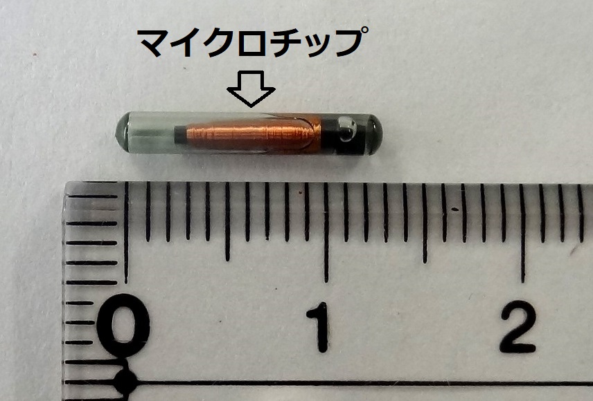 マイクロチップ