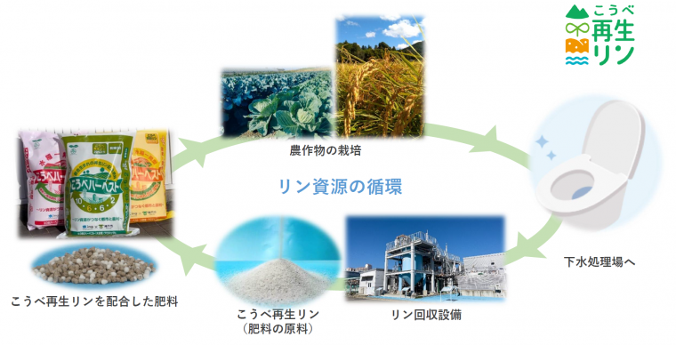 リン資源の循環
