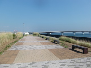 雲ひとつないない青空に橋がかかる西緑地広場の写真