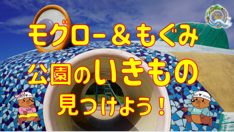 公園のいきもの見つけよう！