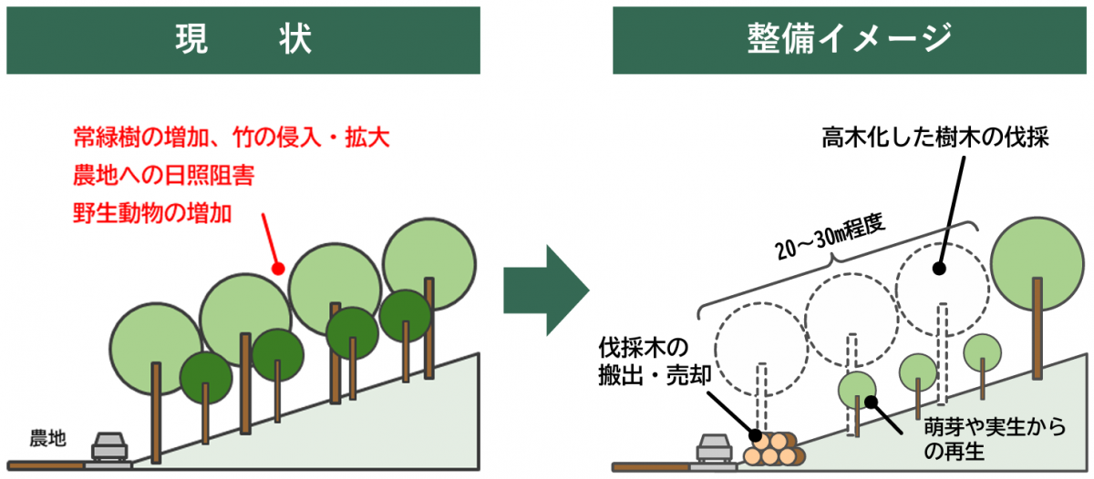 整備方針「資源を循環利用する」の整備イメージ