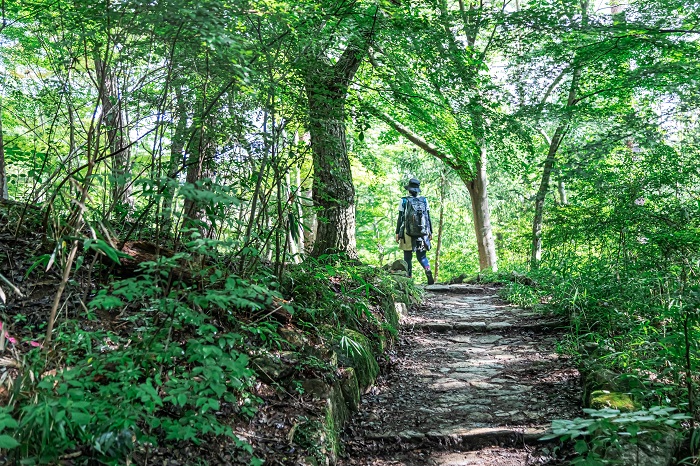 六甲山系の山田道