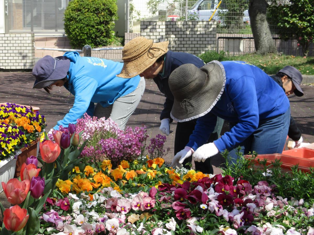 ボランティアによる花壇整備