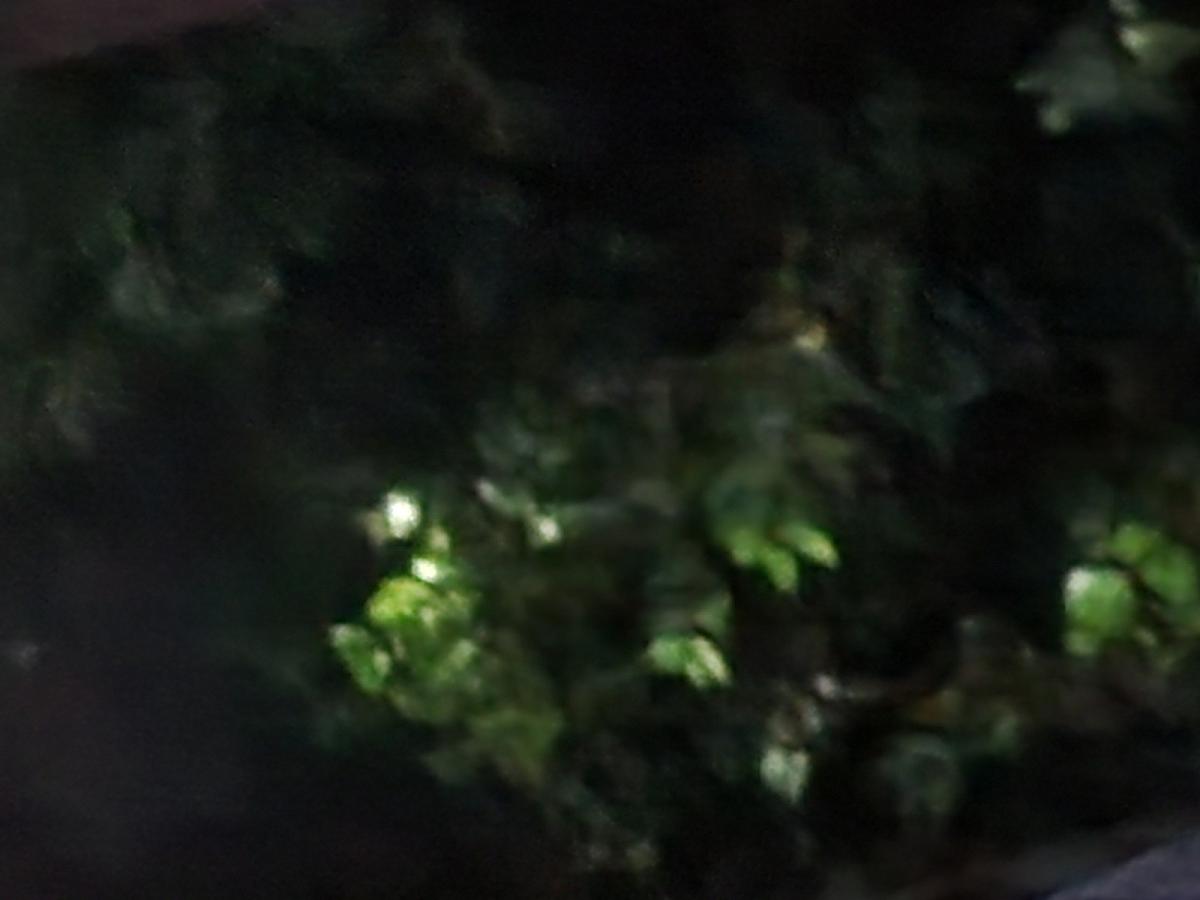 柏尾台3