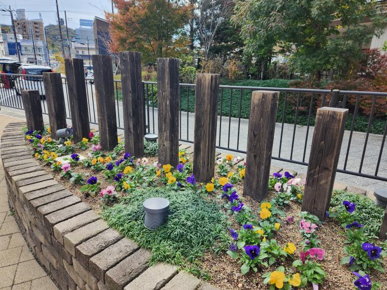 花壇の植替え