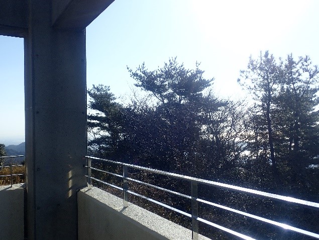 kikusui1