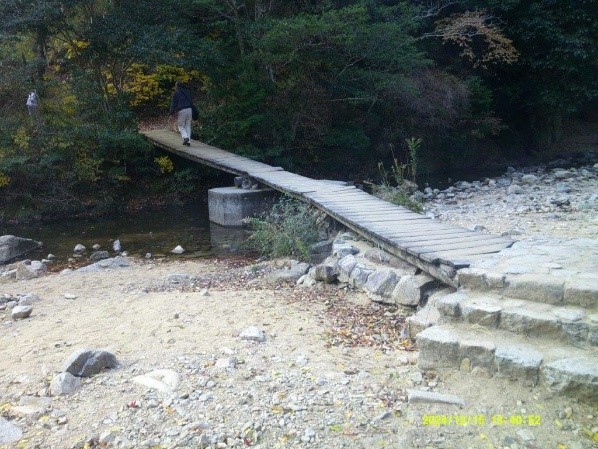 sakuratani3