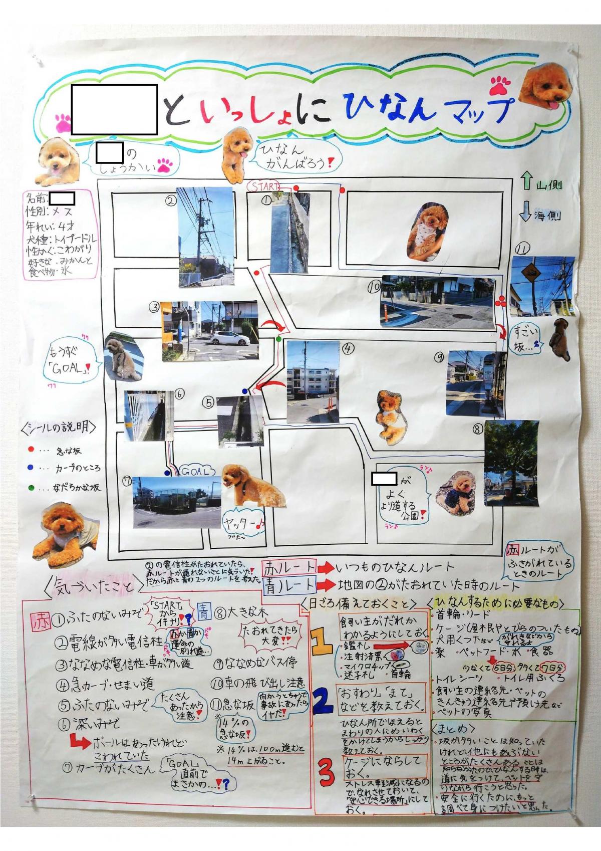 ペットも一緒に避難マップの作例