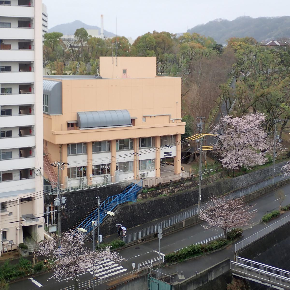 harunosifuu