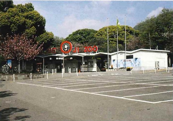 王子動物園の画像