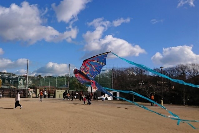 個性的なたこ
