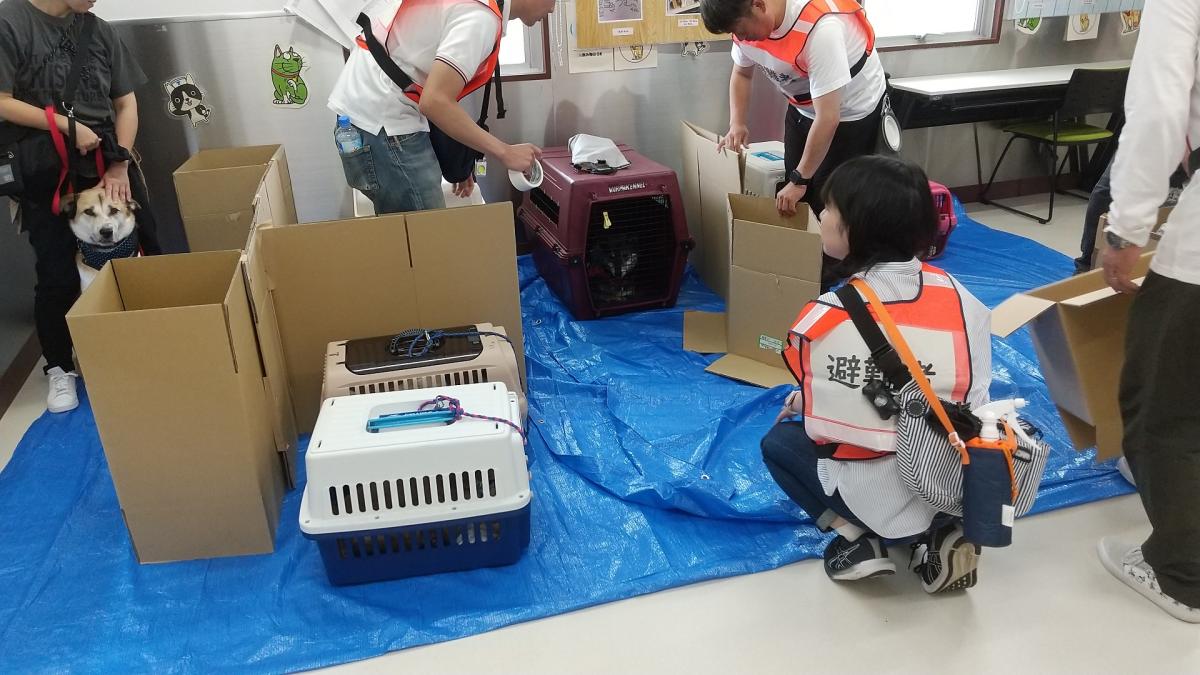 ペットの防災(16対9)