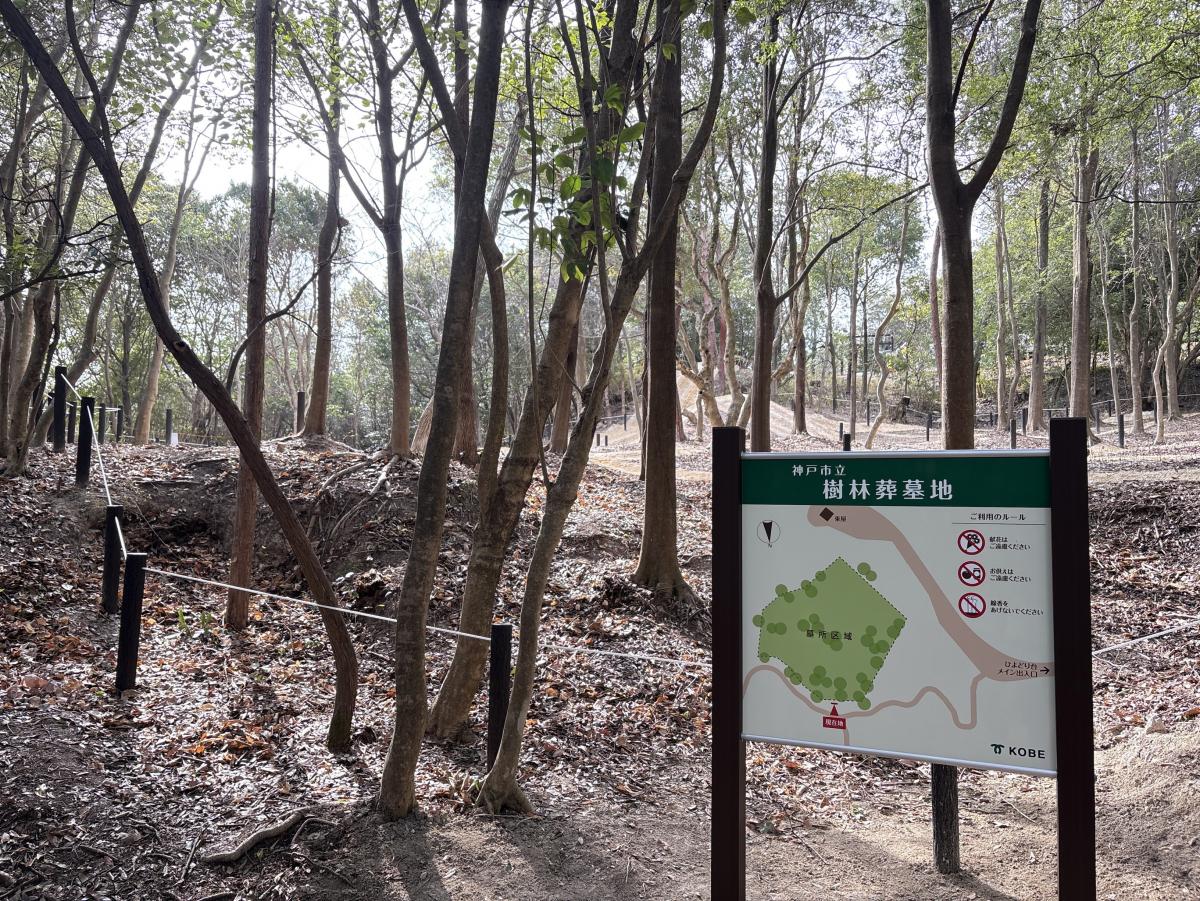 樹林葬墓地