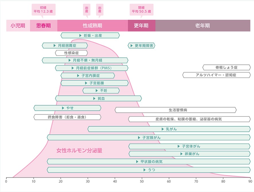 女性のライフステージごとの症状