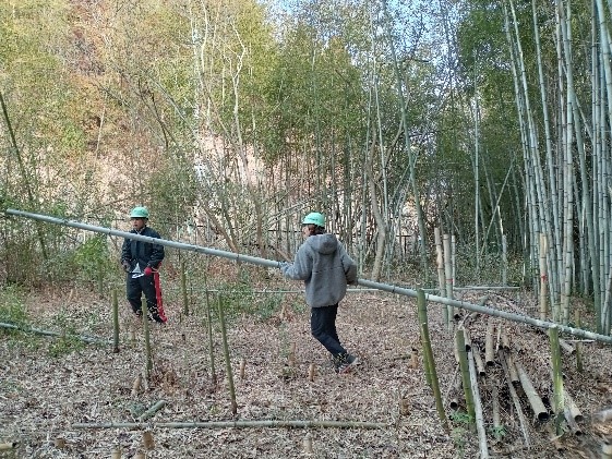 竹林伐採の様子