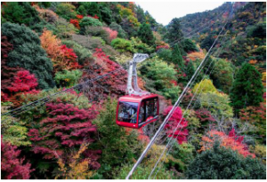 ropeway_shashin