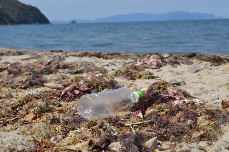 プラスチックごみの写真