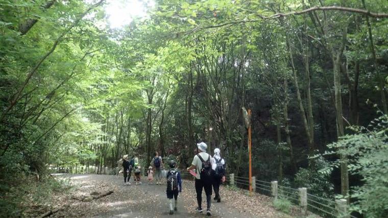 初夏の山歩き