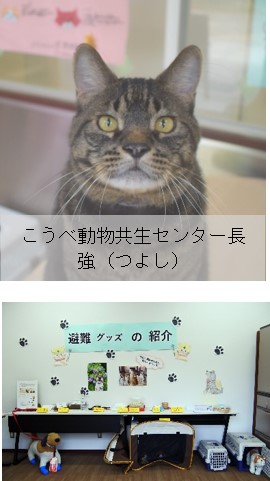 こうべ動物共生センター長　強（つよし）