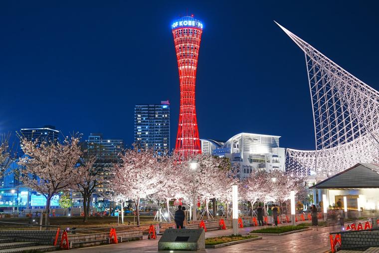 メリケン夜桜