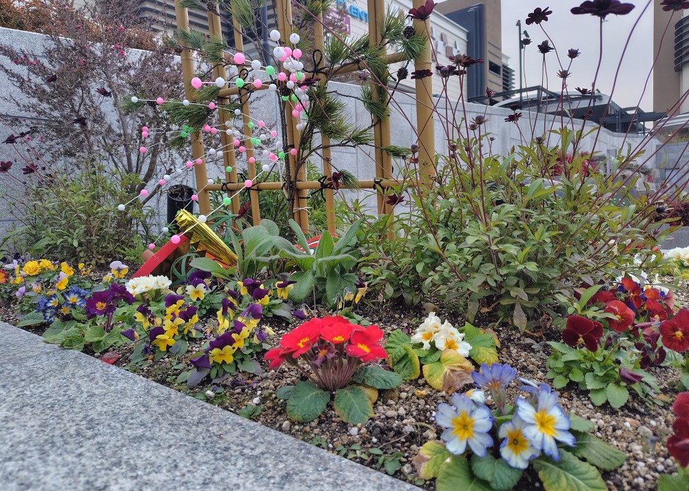 新春の彩りに包まれた花壇