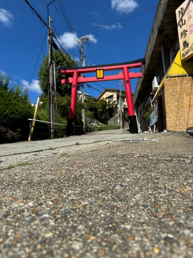 torii
