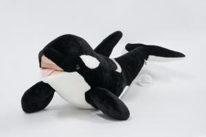 シャチ