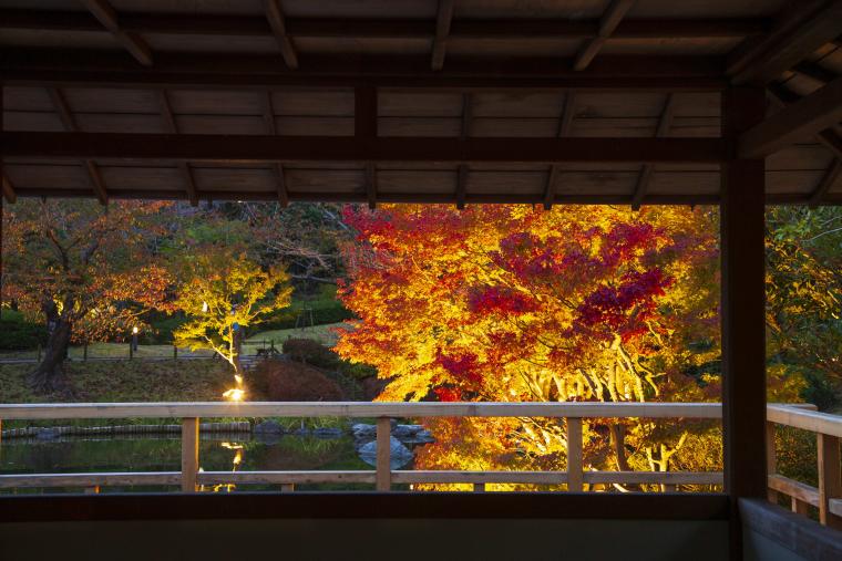画像②