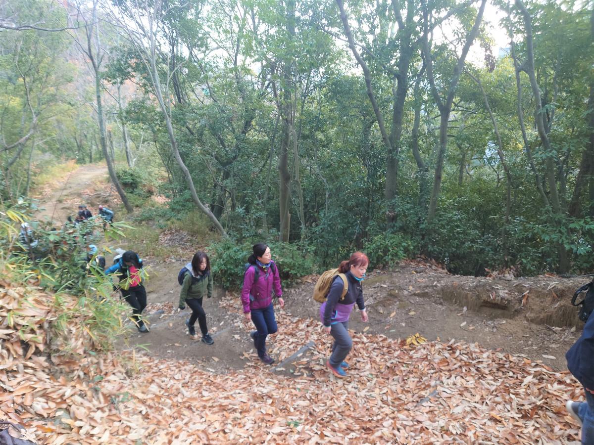 現場に向かって登山中