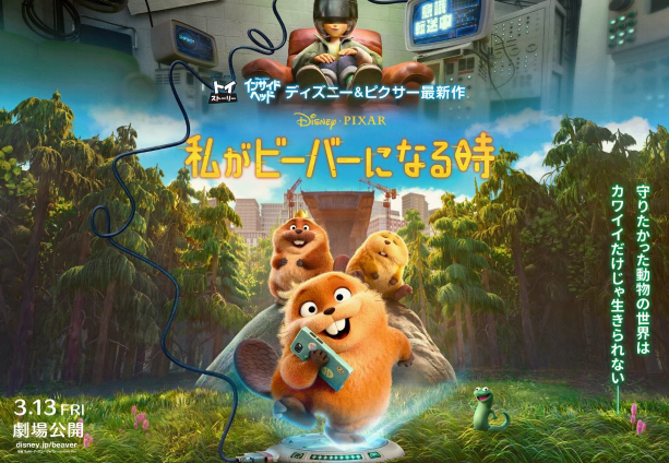 資料内写真