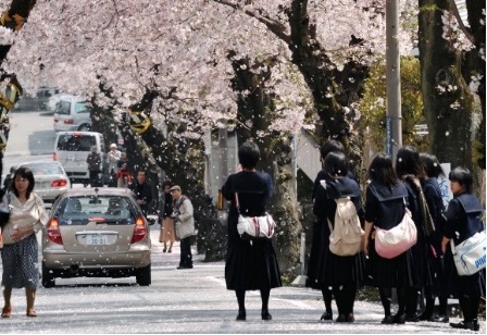 写真：東の文教エリア