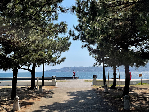 写真：海の近くの公園でランニング