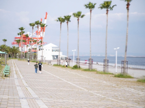 写真：マリンパークの風景