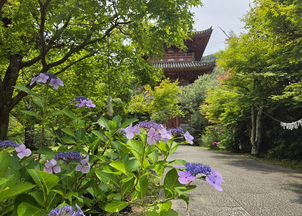 三重塔周辺の花