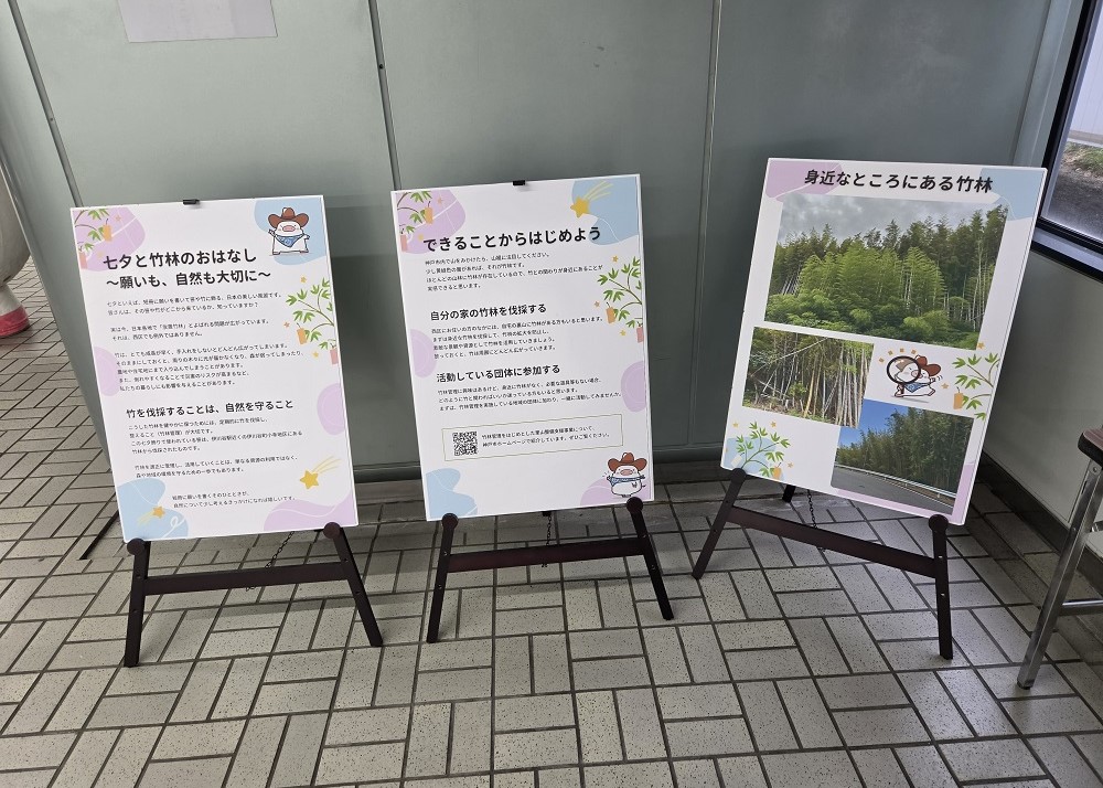 身近な竹林の課題を紹介したパネル