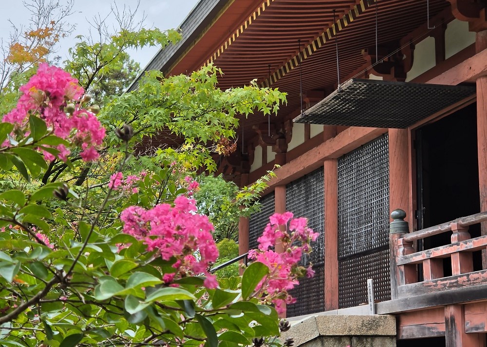 太山寺