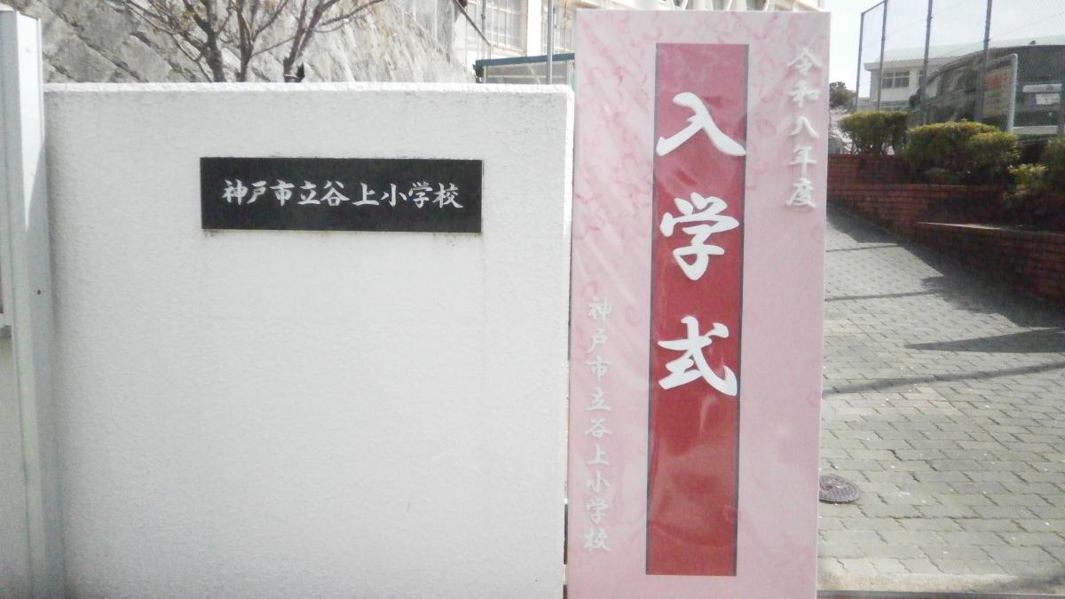 tanigami1