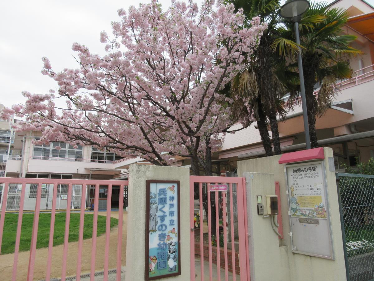 kusunokiyou2